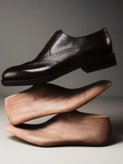 Tramezza Oxford Brogue - Men